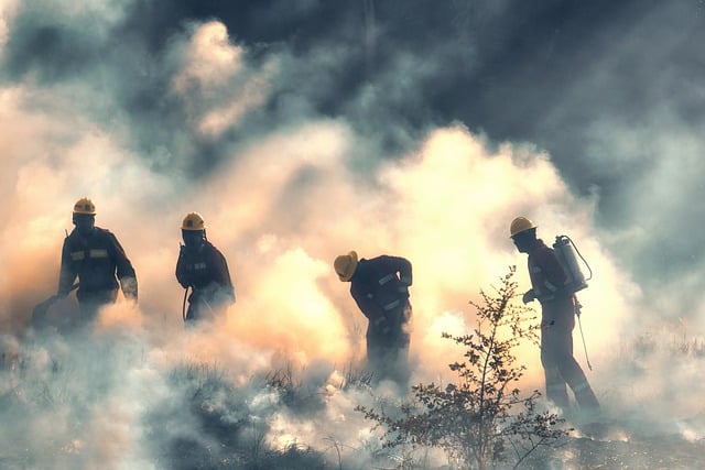 Atenţie dacă mergeţi în Portugalia. Risc crescut de incendii.