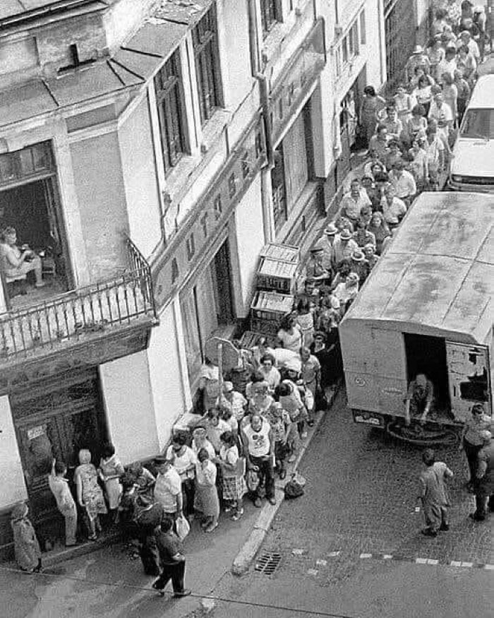 Cel mai mare neadevăr din campania lui Călin Georgescu. „Votați Europa, votați știința, votați pentru continuitate, nu autodistrugere!”, spune Alina Mungiu-Pippidi.