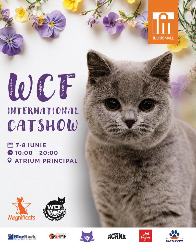 Pisica Transilvană, prima rasă românească recunoscută mondial, și alte zeci de feline pot fi admirate la Iulius Mall Cluj, în cadrul WCF International Cat Show (P)