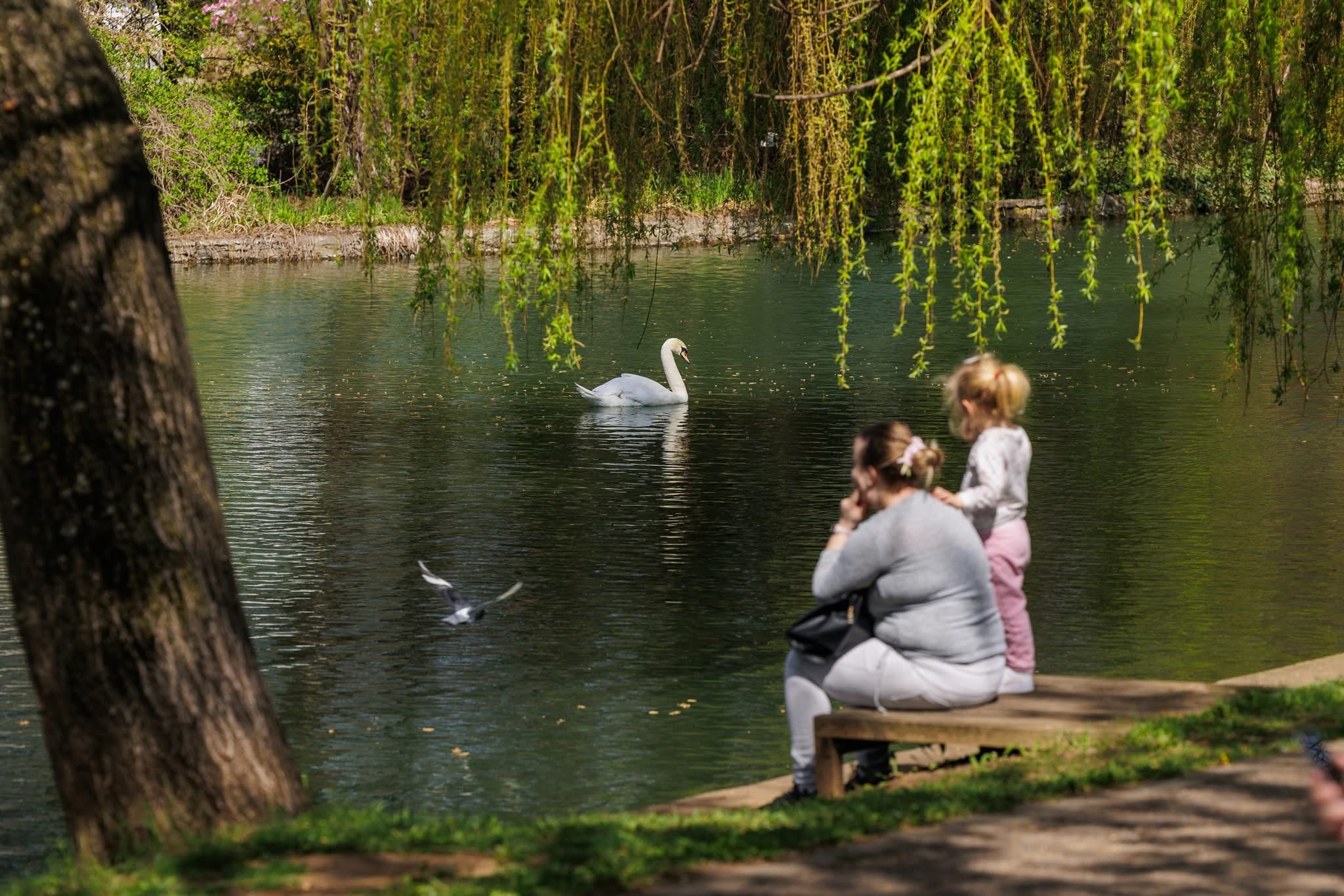 Am scăpat de caniculă! Putem respira! Cum va fi vremea la Cluj astăzi și în zilele următoare?