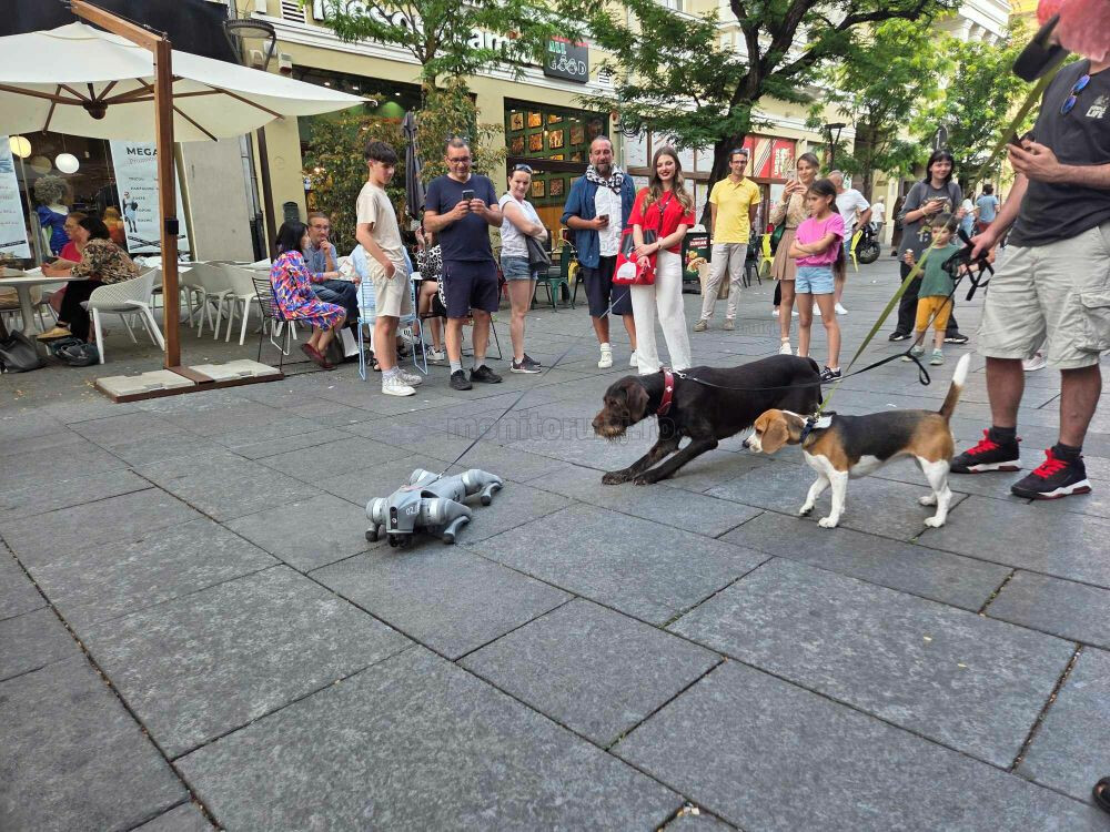 Întâlnirea dintre lumi la TIFF.24. Când natura „adulmecă” robotul.