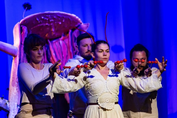 Fluturii albaștri de la Bonțida prind viață pe scena Festivalului de Teatru de la Banja Luka