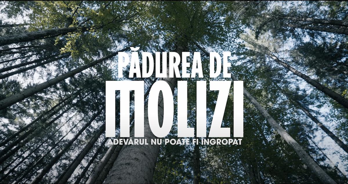 „Pădurea de molizi”, în cinematografe. Filmul prezintă povestea unor români masacrați când încercau să treacă granița. Regizorul Tudor Giurgiu: „Publicul trebuie să fie mai curios, să caute, să se informeze.”